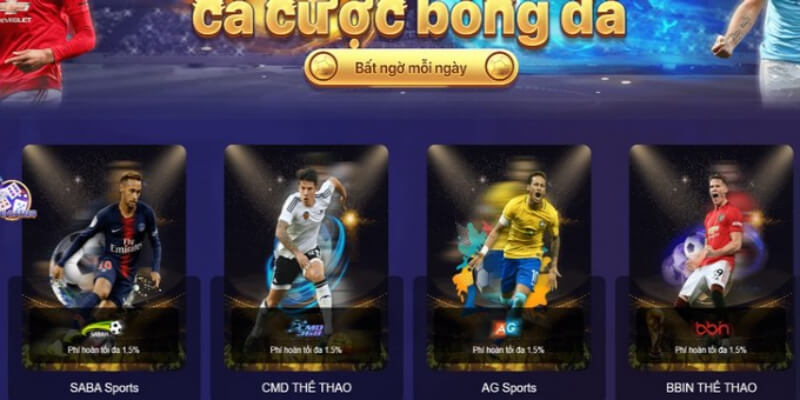 Cá cược thể thao được nhiều cược thủ yêu thích trải nghiệm