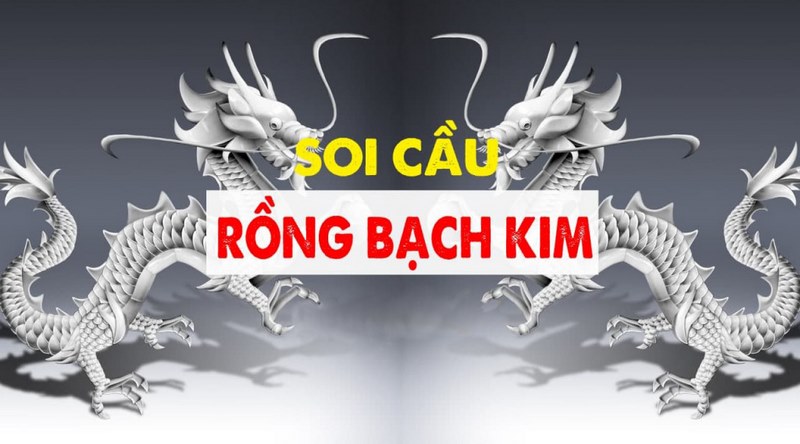 soi cầu rồng bạch kim 666