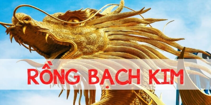 Soi cầu 666 Rồng Bạch Kim là phương pháp tìm số hiệu quả