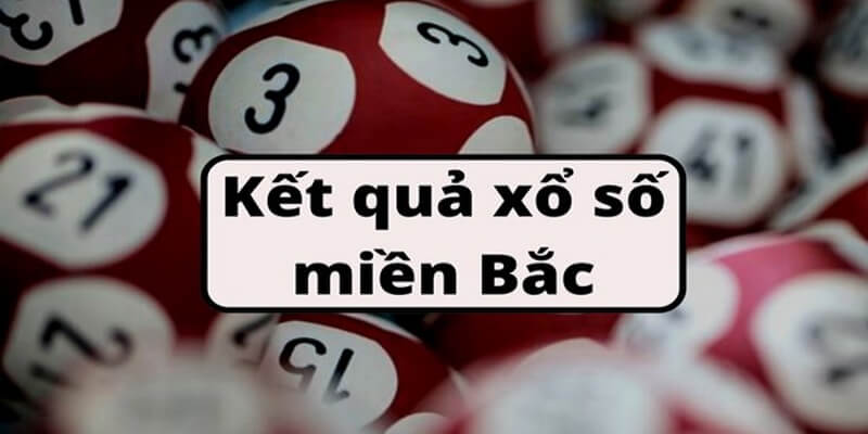 Kênh soi cầu đang ngày càng phát triển và đứng vững hơn trên thị trường
